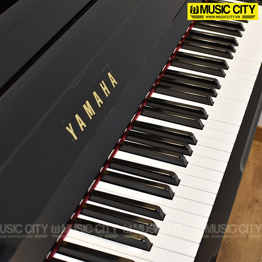 Music City – Tổng Kho Piano, Guitar, Organ | Dịch Vụ Giáo Dục Âm Nhạc