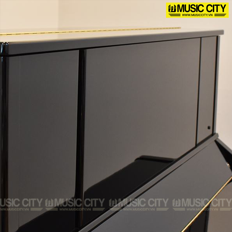 Music City – Tổng Kho Piano, Guitar, Organ | Dịch Vụ Giáo Dục Âm Nhạc