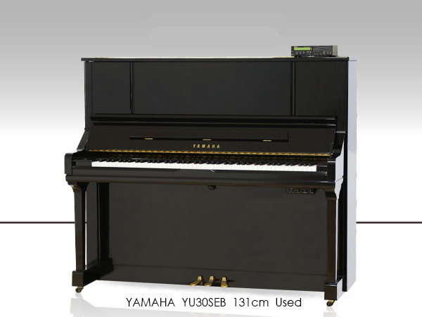 Music City – Tổng Kho Piano, Guitar, Organ | Dịch Vụ Giáo Dục Âm Nhạc