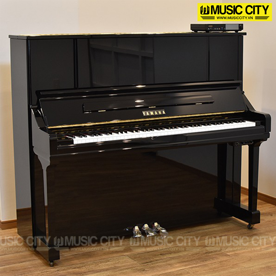Music City – Tổng Kho Piano, Guitar, Organ | Dịch Vụ Giáo Dục Âm Nhạc