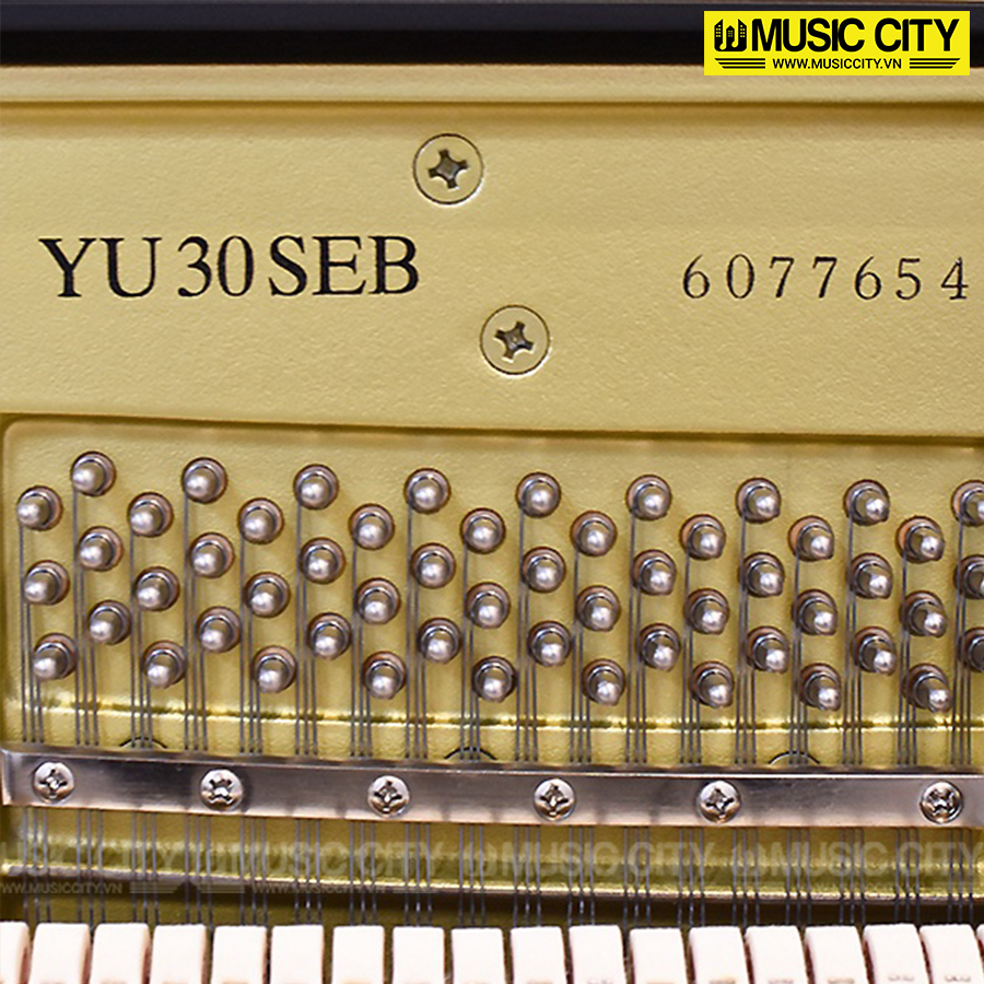 Music City – Tổng Kho Piano, Guitar, Organ | Dịch Vụ Giáo Dục Âm Nhạc
