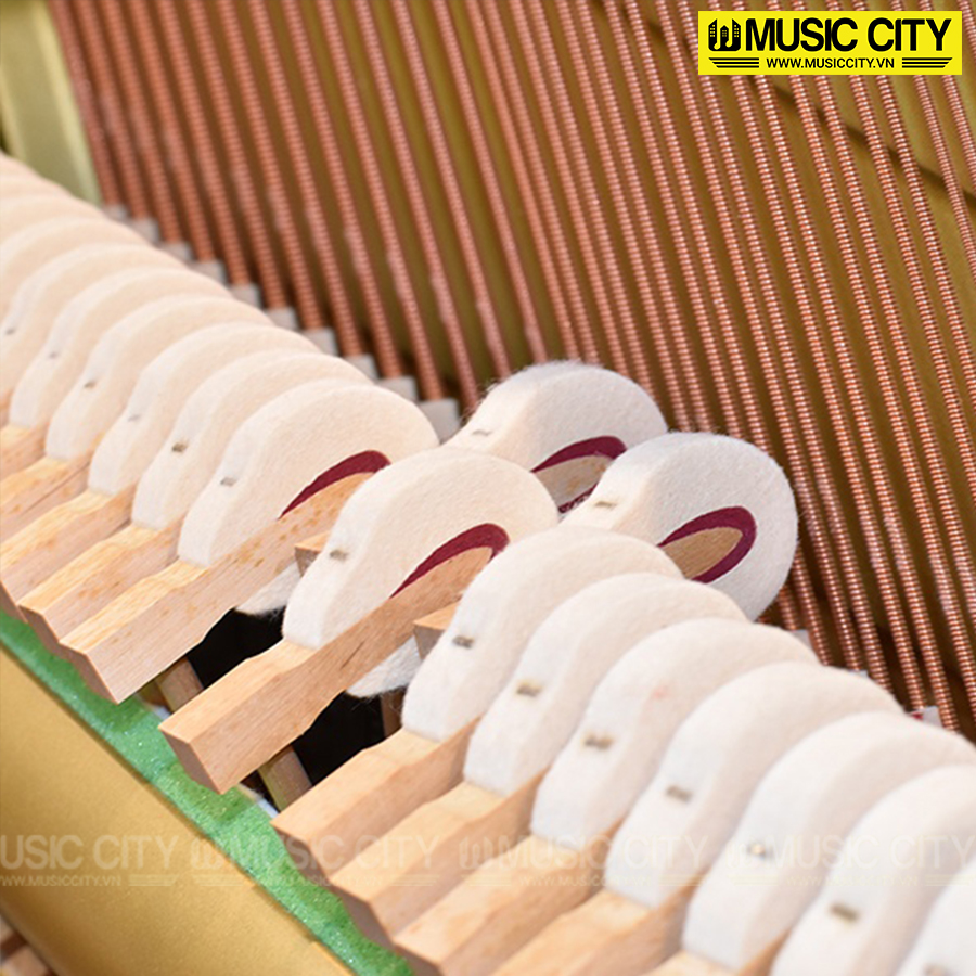 Music City – Tổng Kho Piano, Guitar, Organ | Dịch Vụ Giáo Dục Âm Nhạc