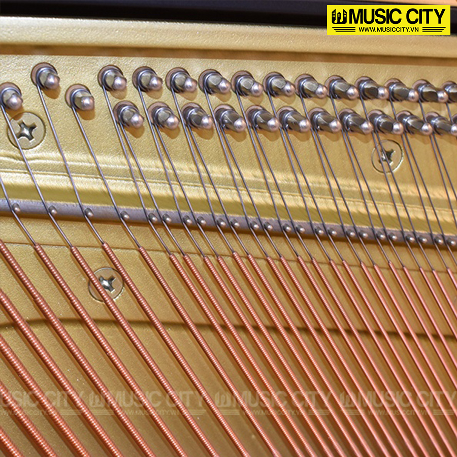 Music City – Tổng Kho Piano, Guitar, Organ | Dịch Vụ Giáo Dục Âm Nhạc