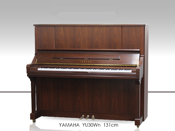 Music City – Tổng Kho Piano, Guitar, Organ | Dịch Vụ Giáo Dục Âm Nhạc