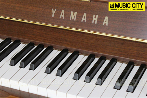 Music City – Tổng Kho Piano, Guitar, Organ | Dịch Vụ Giáo Dục Âm Nhạc