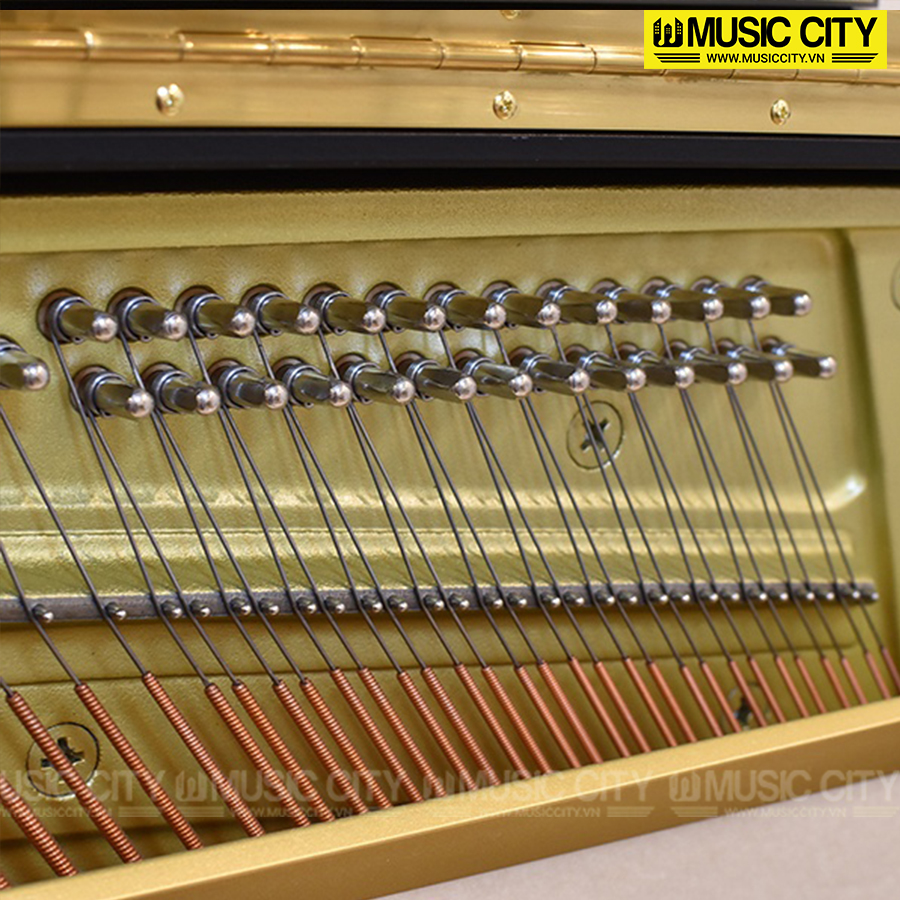 Music City – Tổng Kho Piano, Guitar, Organ | Dịch Vụ Giáo Dục Âm Nhạc