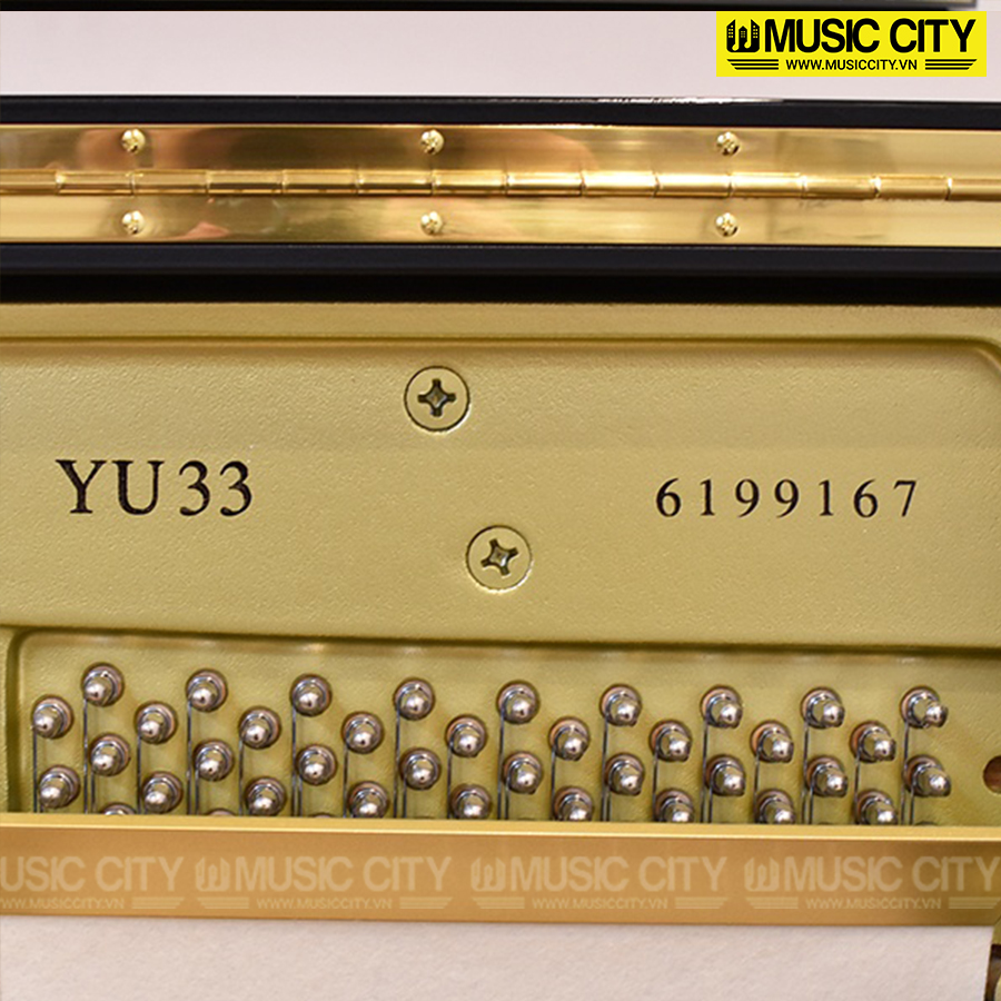 Music City – Tổng Kho Piano, Guitar, Organ | Dịch Vụ Giáo Dục Âm Nhạc