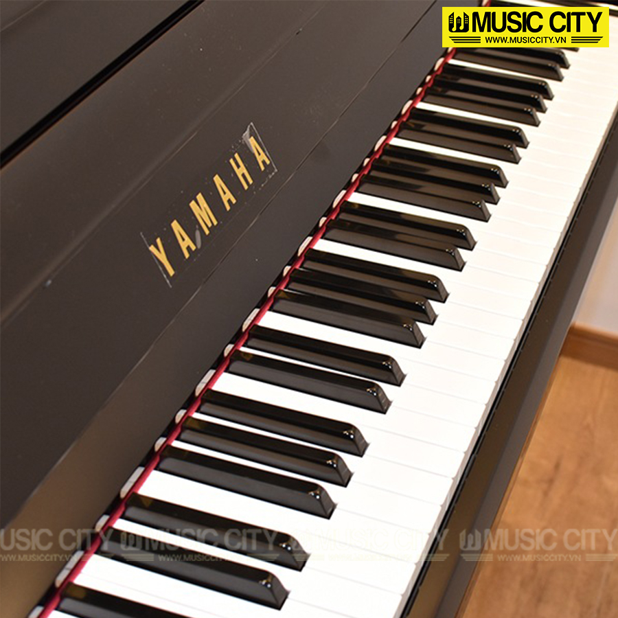 Music City – Tổng Kho Piano, Guitar, Organ | Dịch Vụ Giáo Dục Âm Nhạc