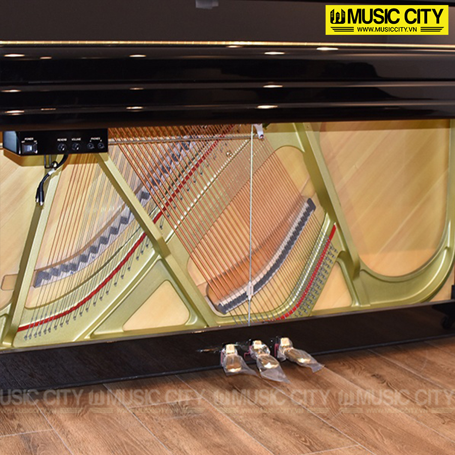 Music City – Tổng Kho Piano, Guitar, Organ | Dịch Vụ Giáo Dục Âm Nhạc