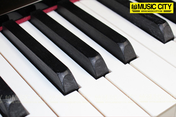 Music City – Tổng Kho Piano, Guitar, Organ | Dịch Vụ Giáo Dục Âm Nhạc