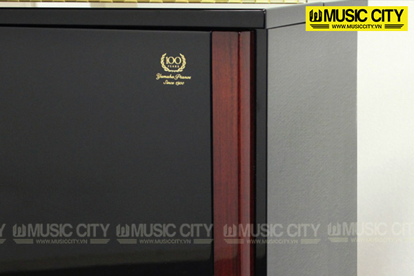 Music City – Tổng Kho Piano, Guitar, Organ | Dịch Vụ Giáo Dục Âm Nhạc