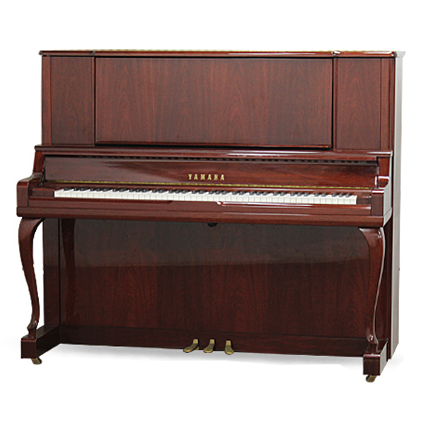 Music City – Tổng Kho Piano, Guitar, Organ | Dịch Vụ Giáo Dục Âm Nhạc