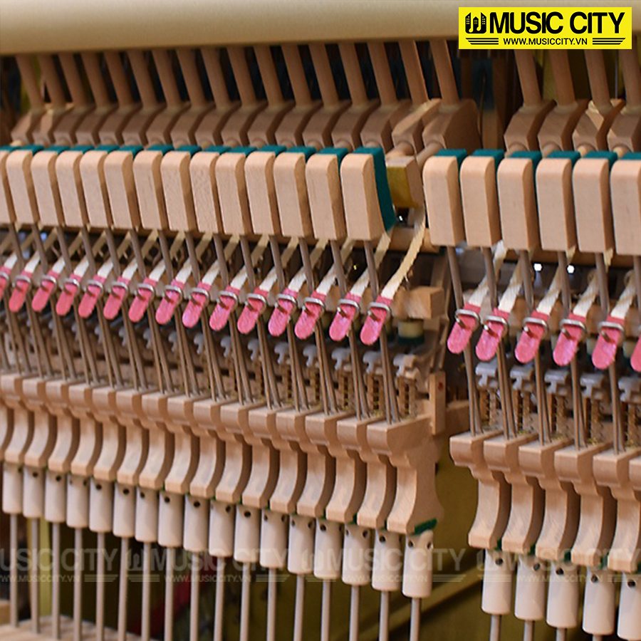 Music City – Tổng Kho Piano, Guitar, Organ | Dịch Vụ Giáo Dục Âm Nhạc