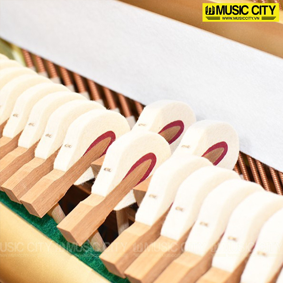 Music City – Tổng Kho Piano, Guitar, Organ | Dịch Vụ Giáo Dục Âm Nhạc