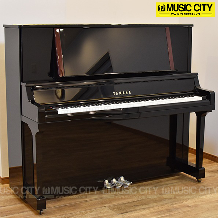 Music City – Tổng Kho Piano, Guitar, Organ | Dịch Vụ Giáo Dục Âm Nhạc