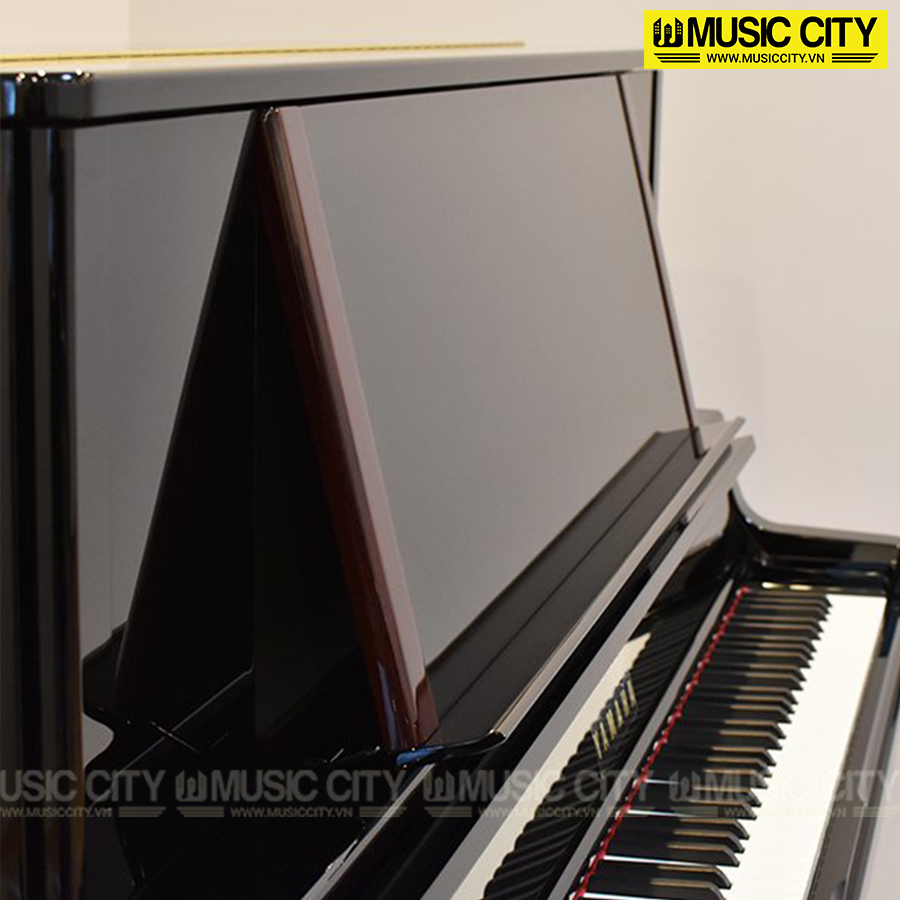Music City – Tổng Kho Piano, Guitar, Organ | Dịch Vụ Giáo Dục Âm Nhạc