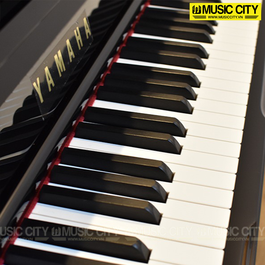 Music City – Tổng Kho Piano, Guitar, Organ | Dịch Vụ Giáo Dục Âm Nhạc