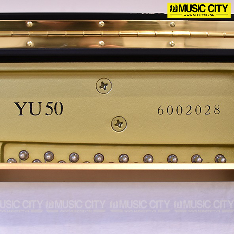 Music City – Tổng Kho Piano, Guitar, Organ | Dịch Vụ Giáo Dục Âm Nhạc