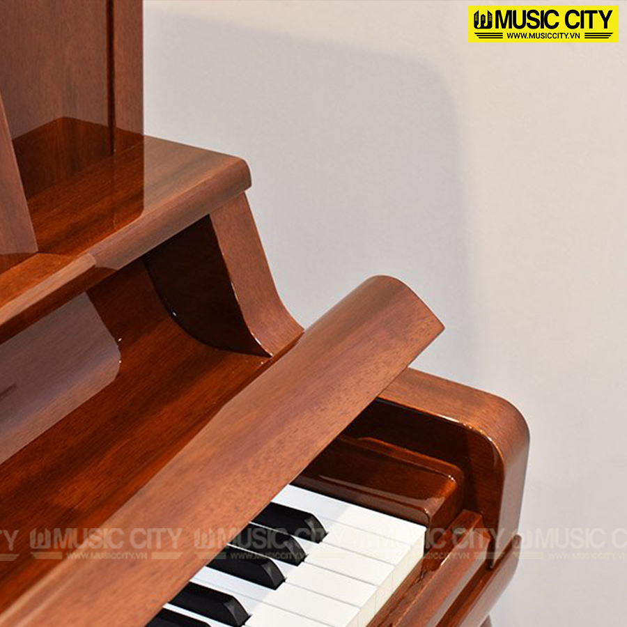 Music City – Tổng Kho Piano, Guitar, Organ | Dịch Vụ Giáo Dục Âm Nhạc