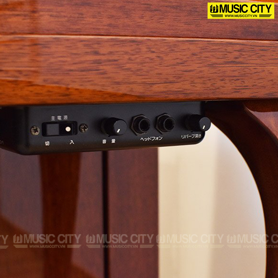 Music City – Tổng Kho Piano, Guitar, Organ | Dịch Vụ Giáo Dục Âm Nhạc