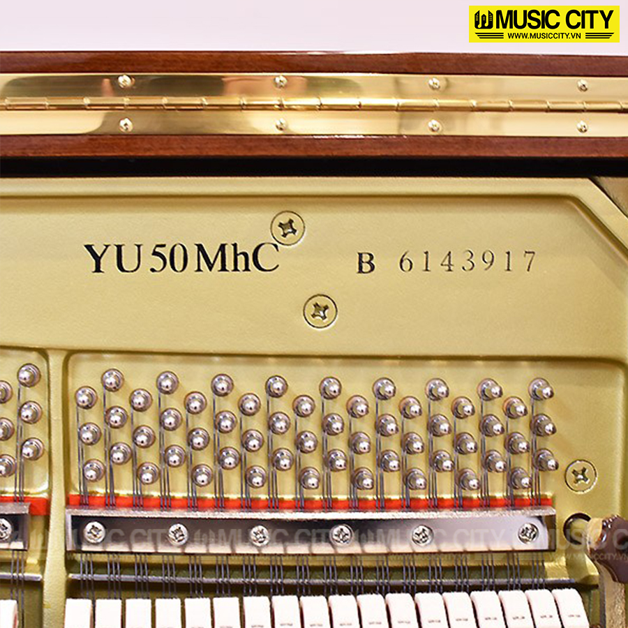 Music City – Tổng Kho Piano, Guitar, Organ | Dịch Vụ Giáo Dục Âm Nhạc
