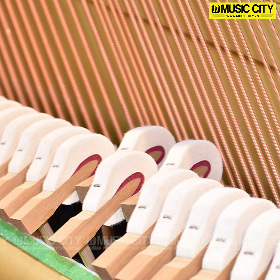 Music City – Tổng Kho Piano, Guitar, Organ | Dịch Vụ Giáo Dục Âm Nhạc