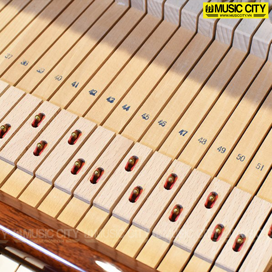 Music City – Tổng Kho Piano, Guitar, Organ | Dịch Vụ Giáo Dục Âm Nhạc