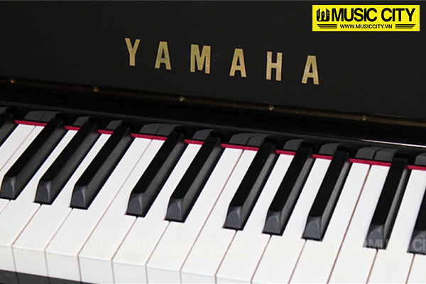 Music City – Tổng Kho Piano, Guitar, Organ | Dịch Vụ Giáo Dục Âm Nhạc