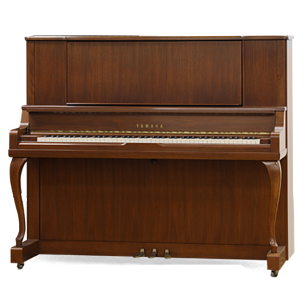Music City – Tổng Kho Piano, Guitar, Organ | Dịch Vụ Giáo Dục Âm Nhạc