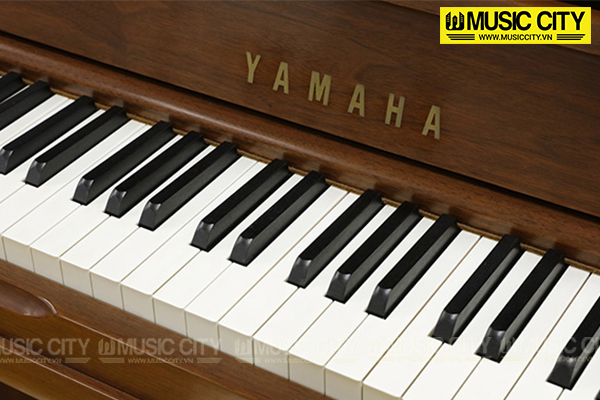 Music City – Tổng Kho Piano, Guitar, Organ | Dịch Vụ Giáo Dục Âm Nhạc