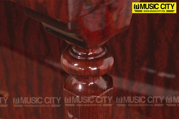 Music City – Tổng Kho Piano, Guitar, Organ | Dịch Vụ Giáo Dục Âm Nhạc