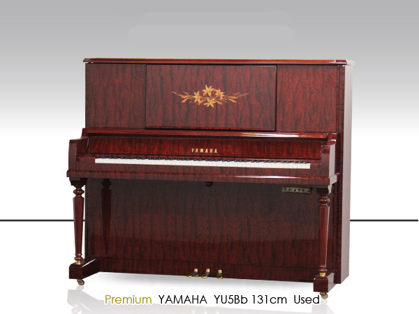 Music City – Tổng Kho Piano, Guitar, Organ | Dịch Vụ Giáo Dục Âm Nhạc