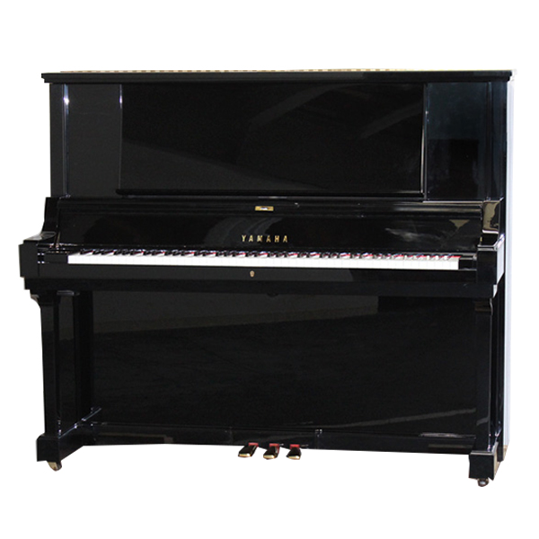 Music City – Tổng Kho Piano, Guitar, Organ | Dịch Vụ Giáo Dục Âm Nhạc