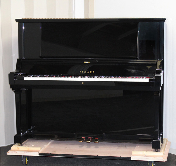 Music City – Tổng Kho Piano, Guitar, Organ | Dịch Vụ Giáo Dục Âm Nhạc