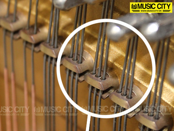 Music City – Tổng Kho Piano, Guitar, Organ | Dịch Vụ Giáo Dục Âm Nhạc
