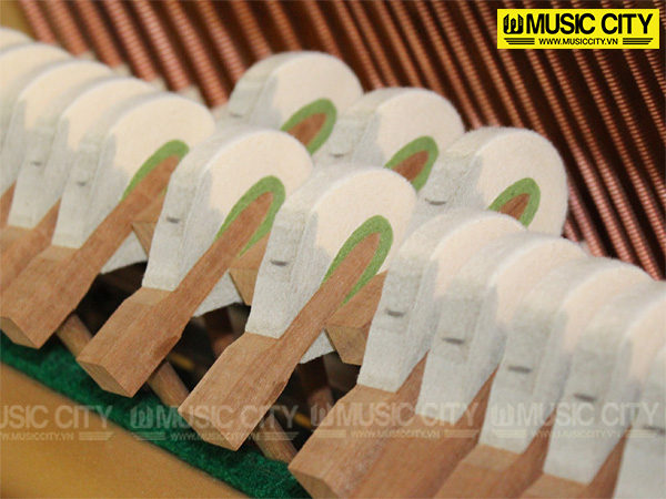 Music City – Tổng Kho Piano, Guitar, Organ | Dịch Vụ Giáo Dục Âm Nhạc