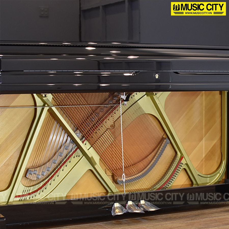 Music City – Tổng Kho Piano, Guitar, Organ | Dịch Vụ Giáo Dục Âm Nhạc