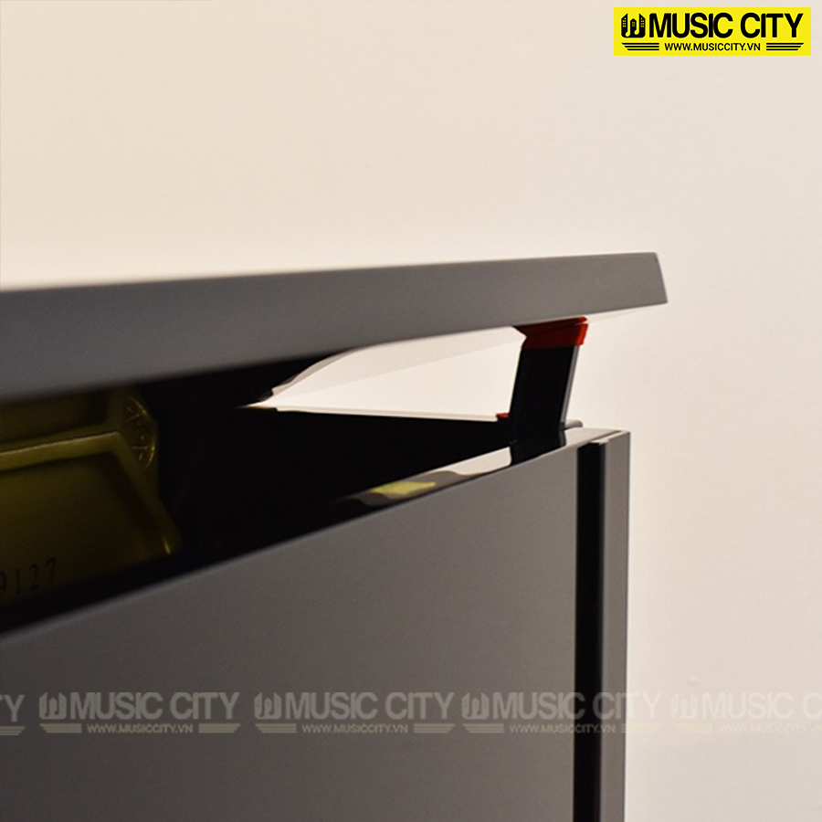 Music City – Tổng Kho Piano, Guitar, Organ | Dịch Vụ Giáo Dục Âm Nhạc