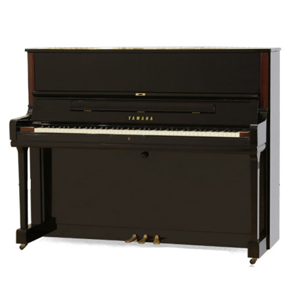 Music City – Tổng Kho Piano, Guitar, Organ | Dịch Vụ Giáo Dục Âm Nhạc