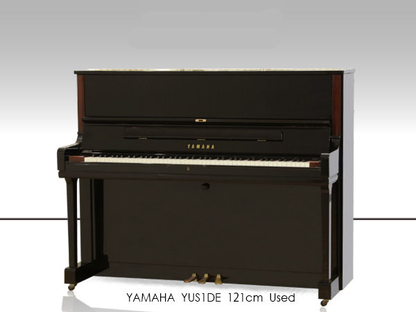 Music City – Tổng Kho Piano, Guitar, Organ | Dịch Vụ Giáo Dục Âm Nhạc
