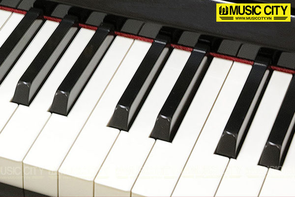 Music City – Tổng Kho Piano, Guitar, Organ | Dịch Vụ Giáo Dục Âm Nhạc