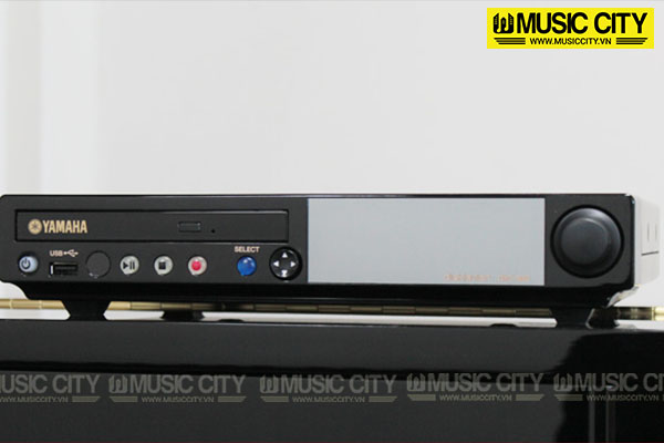 Music City – Tổng Kho Piano, Guitar, Organ | Dịch Vụ Giáo Dục Âm Nhạc
