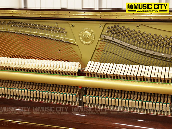 Music City – Tổng Kho Piano, Guitar, Organ | Dịch Vụ Giáo Dục Âm Nhạc