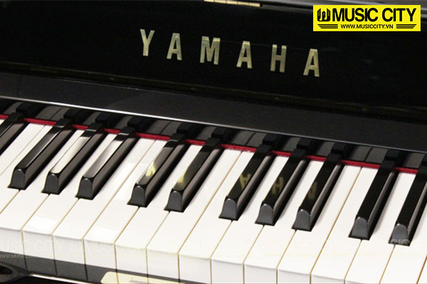 Music City – Tổng Kho Piano, Guitar, Organ | Dịch Vụ Giáo Dục Âm Nhạc