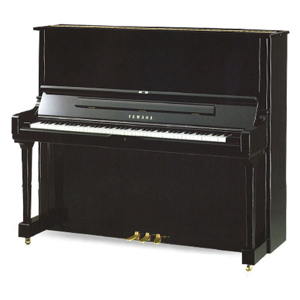 Music City – Tổng Kho Piano, Guitar, Organ | Dịch Vụ Giáo Dục Âm Nhạc