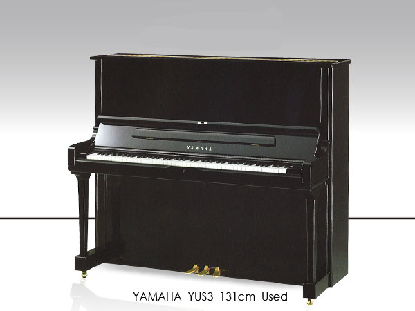 Music City – Tổng Kho Piano, Guitar, Organ | Dịch Vụ Giáo Dục Âm Nhạc