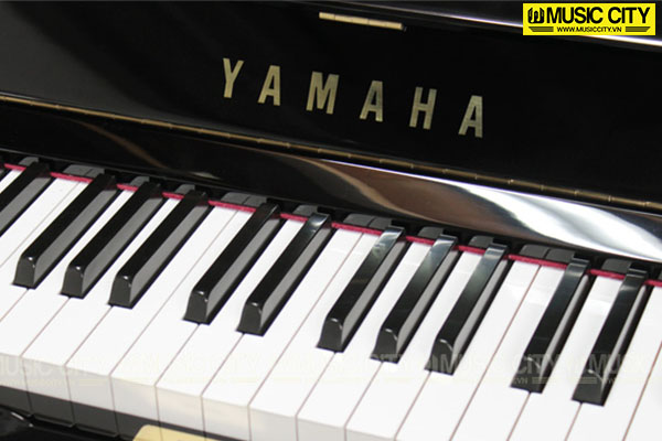 Music City – Tổng Kho Piano, Guitar, Organ | Dịch Vụ Giáo Dục Âm Nhạc