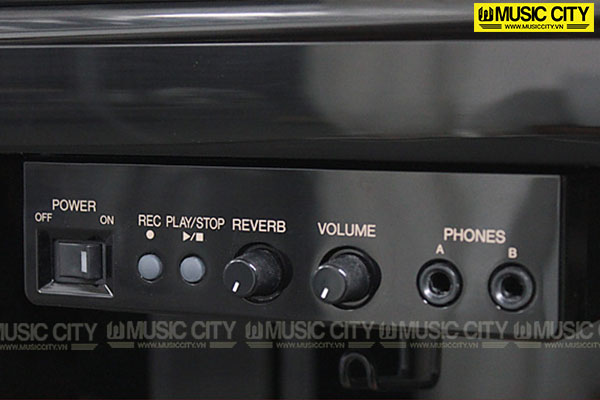 Music City – Tổng Kho Piano, Guitar, Organ | Dịch Vụ Giáo Dục Âm Nhạc