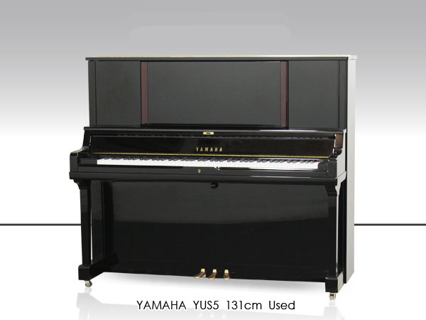 Music City – Tổng Kho Piano, Guitar, Organ | Dịch Vụ Giáo Dục Âm Nhạc