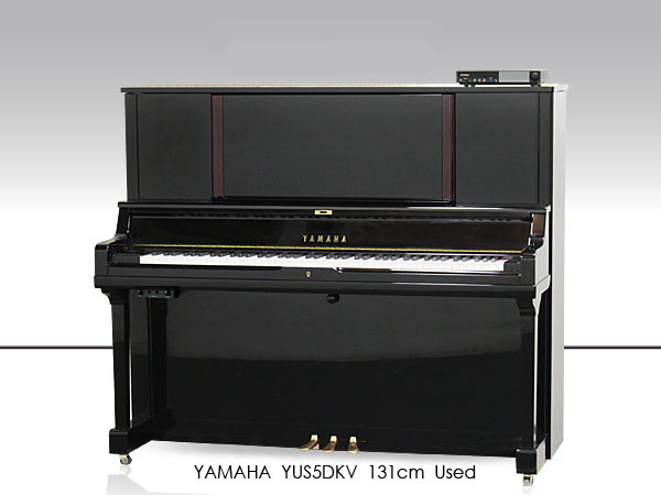 Music City – Tổng Kho Piano, Guitar, Organ | Dịch Vụ Giáo Dục Âm Nhạc